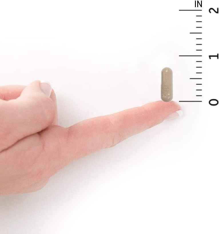 Garden of Life Vitamin Code Raw One for Men, Once Daily Multivitamin, 75 Capsules, One a Day Mens Vitamins Plus Fruit, Veggies & Probiotics for Mens Health, Vegetarian Multivitamins