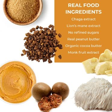 Laird Superfood Functional Protein Bars – Protein Bar but Better with Real Ingredients, Functional Mushrooms 10g Plant-Based Protein, 6g Fiber - Non-GMO - Peanut Butter, 10 Count (Pack of 1)