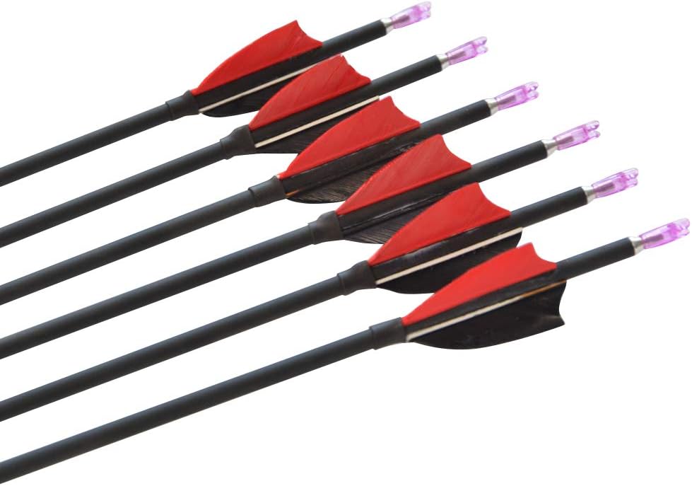 ZSHJGJR 31Inch Archery Carbon Arrows Hunting Arrows Spine 1000 with 2" Turkey Feathers Shooting Tips for Compound Recurve Bow 12 Pieces (Black) (12 x Red Arrows)