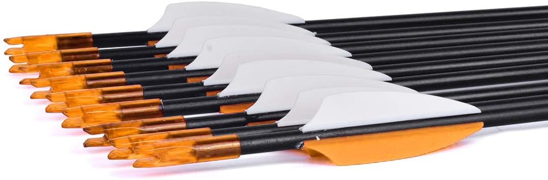 LWANO 31" Training Arrows-Archery Practice Target Arrows for Kids Youth or Beginners with Durable Shaft on Recurve Bow Compound Bow and Longbow
