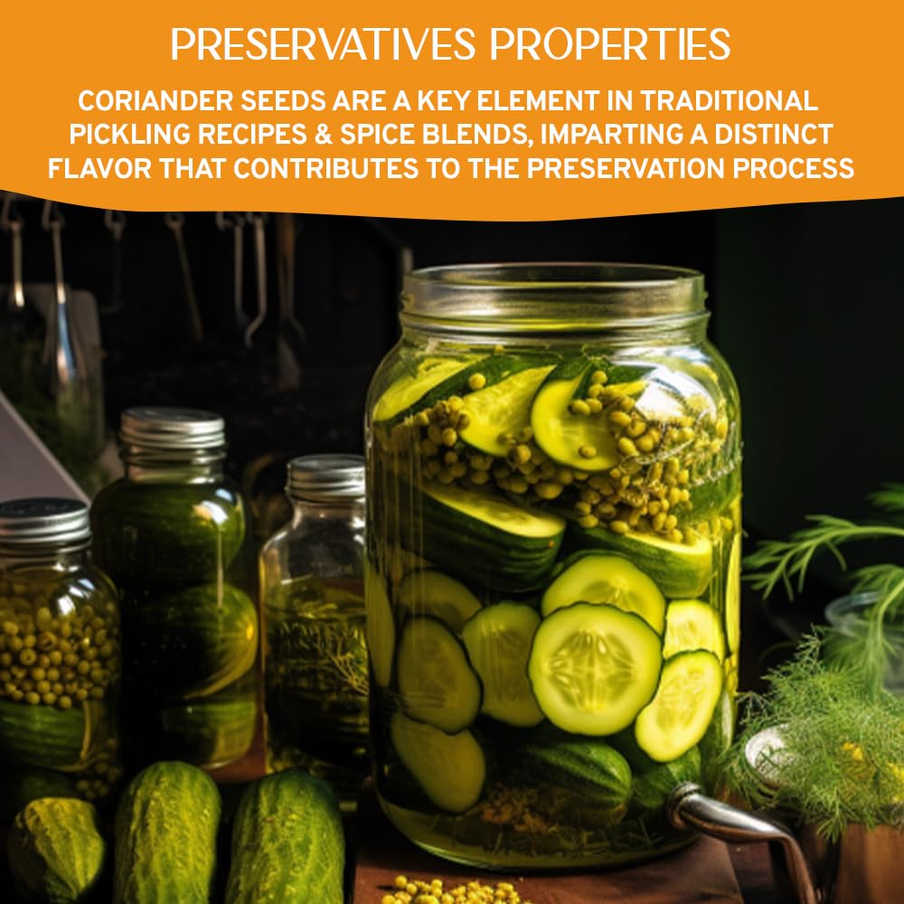 HANDPICK Whole Coriander Seed (283g/10oz) Premium Grade | Pure & Flavorful Coriander Seeds - Indian Origin | Non GMO, Gluten Free | Perfect for Cooking & Seasoning | Resealable Ziplock Pouch