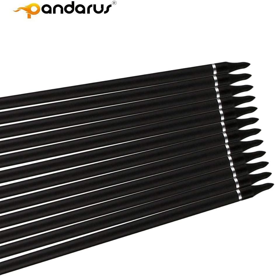 30/32" Inch ST0.006 Hunting Arrows for Compound & Recurve Bow,100% Carbon Archery Target Arrows with Removable Tips for Accurate Hunters & Bowhunters (Pack of 12)