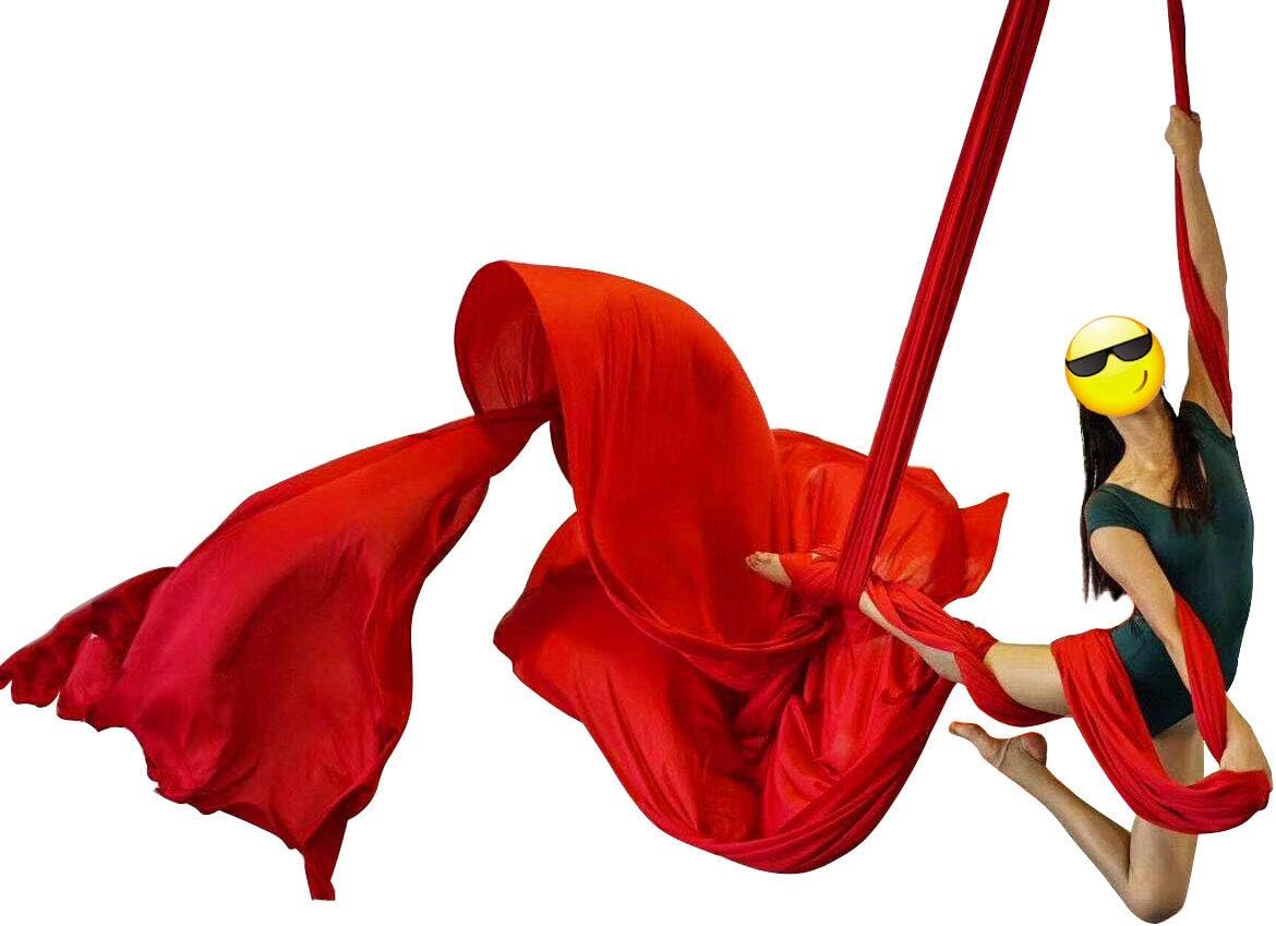 DASKING Aerial Silks Starter Kit - Durable 11Yards of Aerial Yoga Hammock with Hardware, Aerial Swing for Acrobatic Flying Yoga & All Levels (Aerial Rigging Point Up to 14ft)