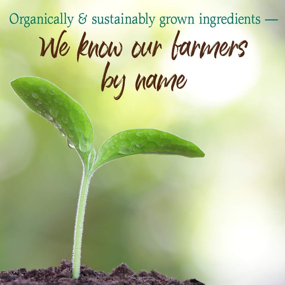 Garden of Life Raw Organic Perfect Food Green Superfood Juiced Greens Powder - Chocolate, 60 Servings, Non-GMO, Gluten Free, Vegan Whole Food Dietary Supplement Plus Probiotics, Enzymes