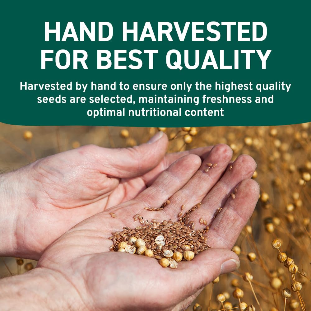 HANDPICK Flax Seed (2 lb) | Gluten Free Brown Seeds | Raw Seeds Sourced from India | Grinds easily, Gels perfectly | Resealable Zip Lock Pouch