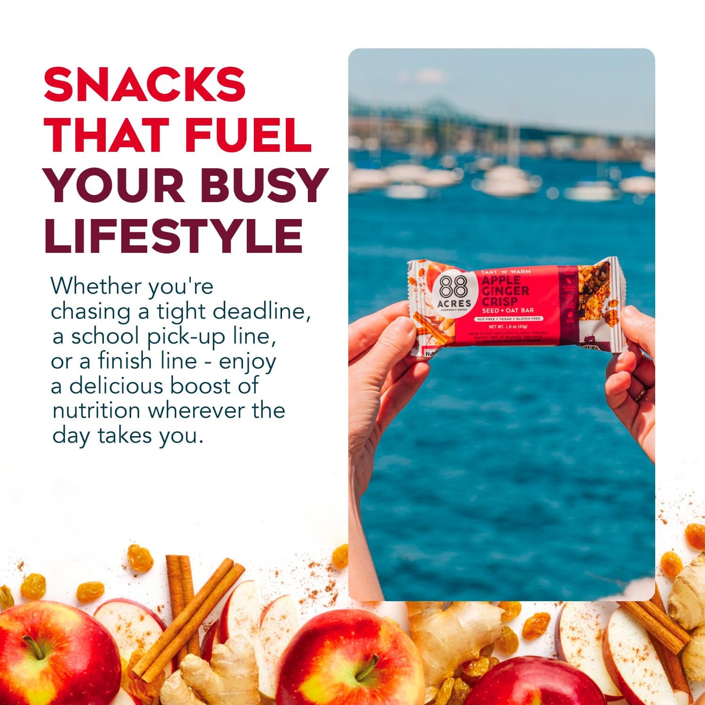 88 Acres Granola Bars | Apple Ginger Crisp | Gluten Free, Nut-Free Oat and Seed Snack Bar | Vegan & Non GMO | 12 Pack