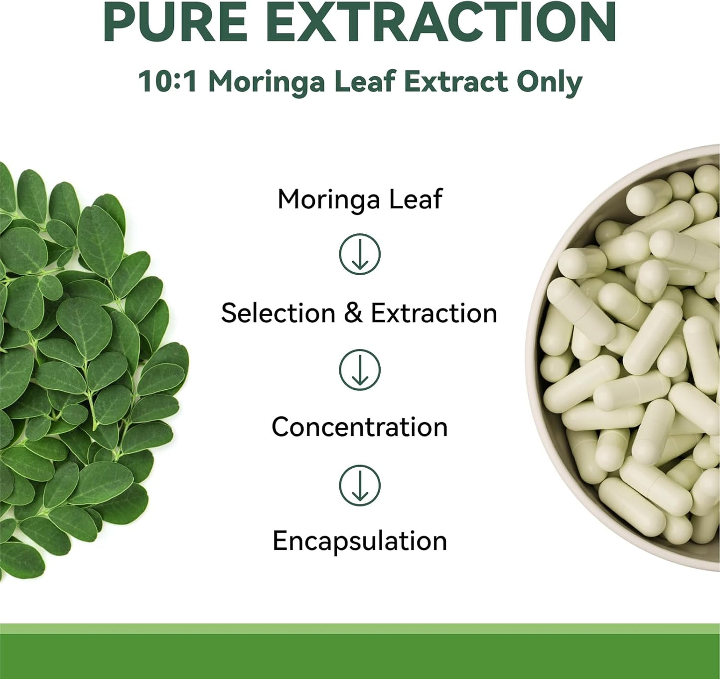 Moringa Capsules 1000mg, Moringa Leaf Extract 10:1, Energy, Sleep, Immune & Gut Health, Veg Capsules 60 Count, All-Natural, Non-GMO, Made in The USA