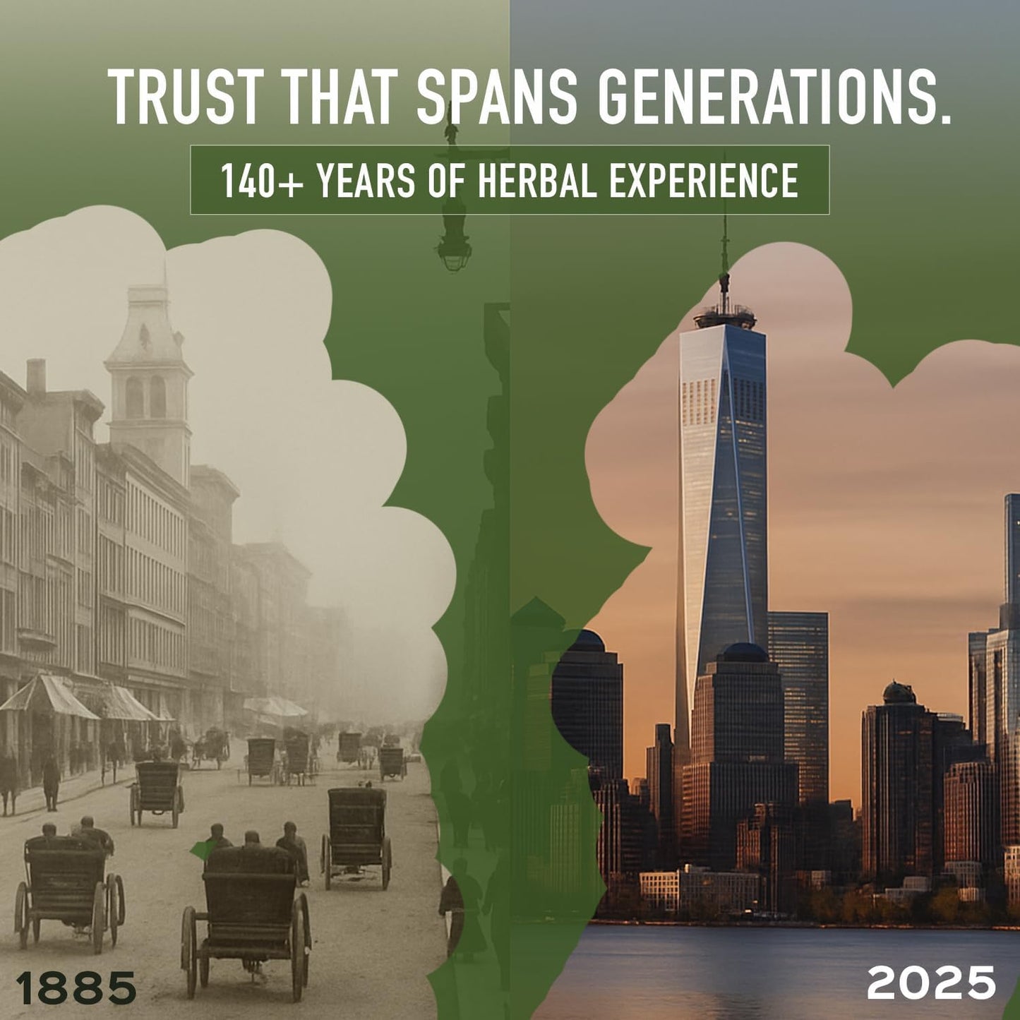 bixa BOTANICAL Moringa Leaf Extract Capsule (Moringa Oleifera) | Multi-Vitamin Green Super Food Supplement ǀ Pure Natural Nutrition Supplement- (60 Count(Pack of 1))