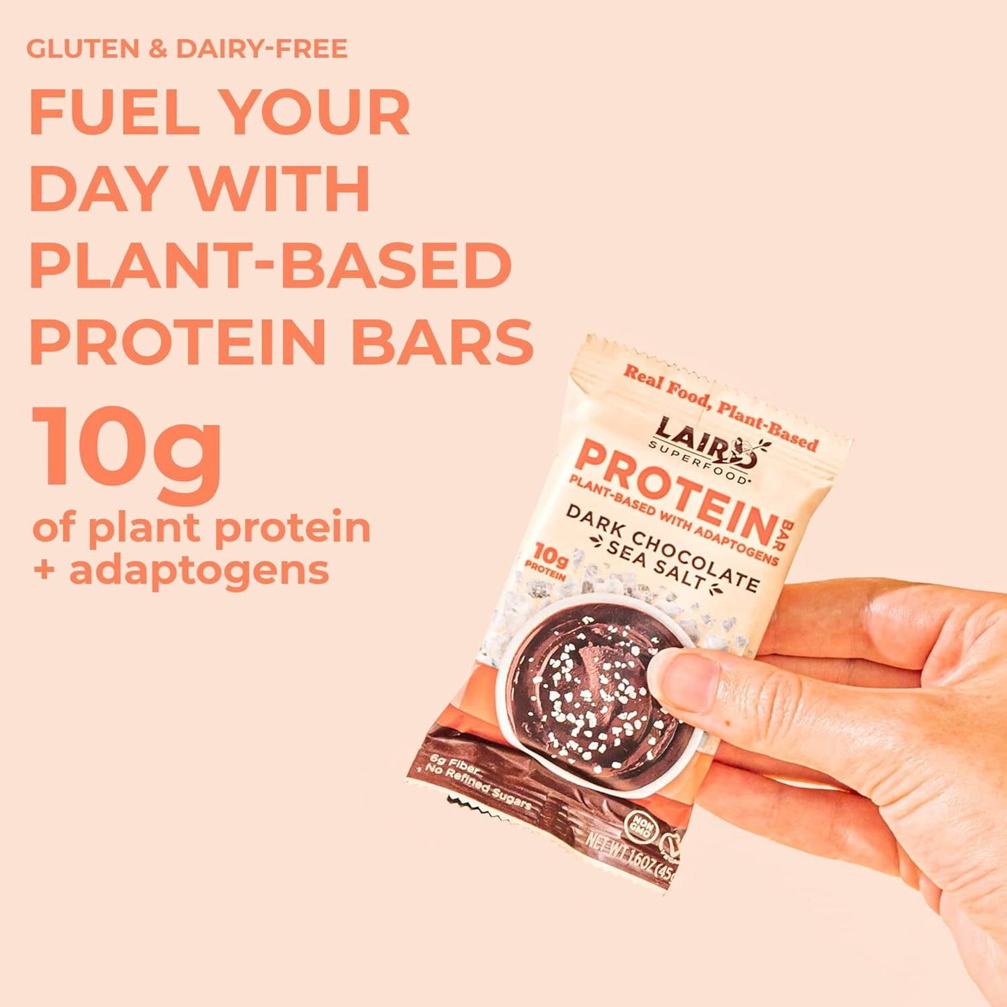 Laird Superfood Functional Protein Bars – Protein Bar but Better with Real Ingredients, Functional Mushrooms 10g Plant-Based Protein, 6g Fiber - Non-GMO - Dark Chocolate Sea Salt, 10 Count (Pack of 1)