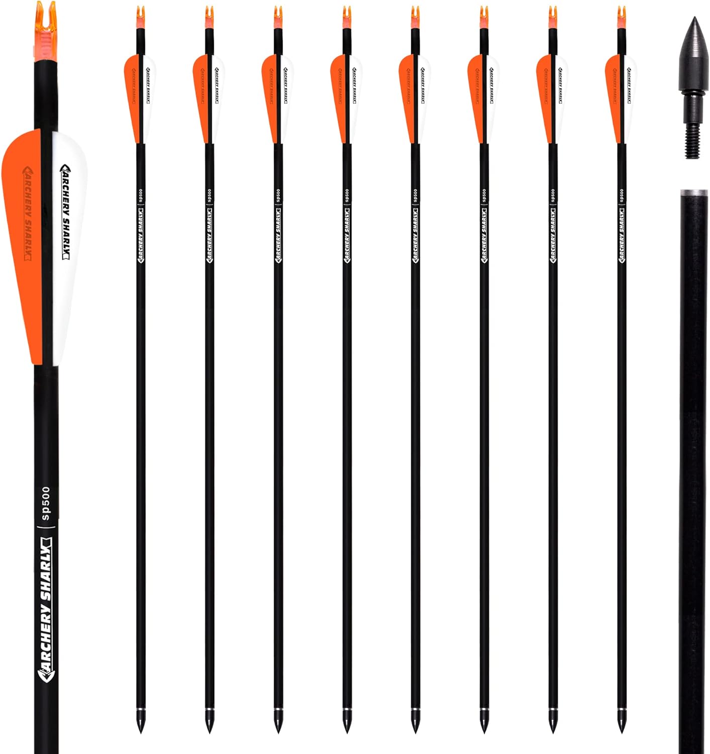 30Inch Carbon Hunting Arrow Targeting Practice Arrows with Removable Tips and Adjustable Nocks for Compound & Recurve Bow (Pack of 12)