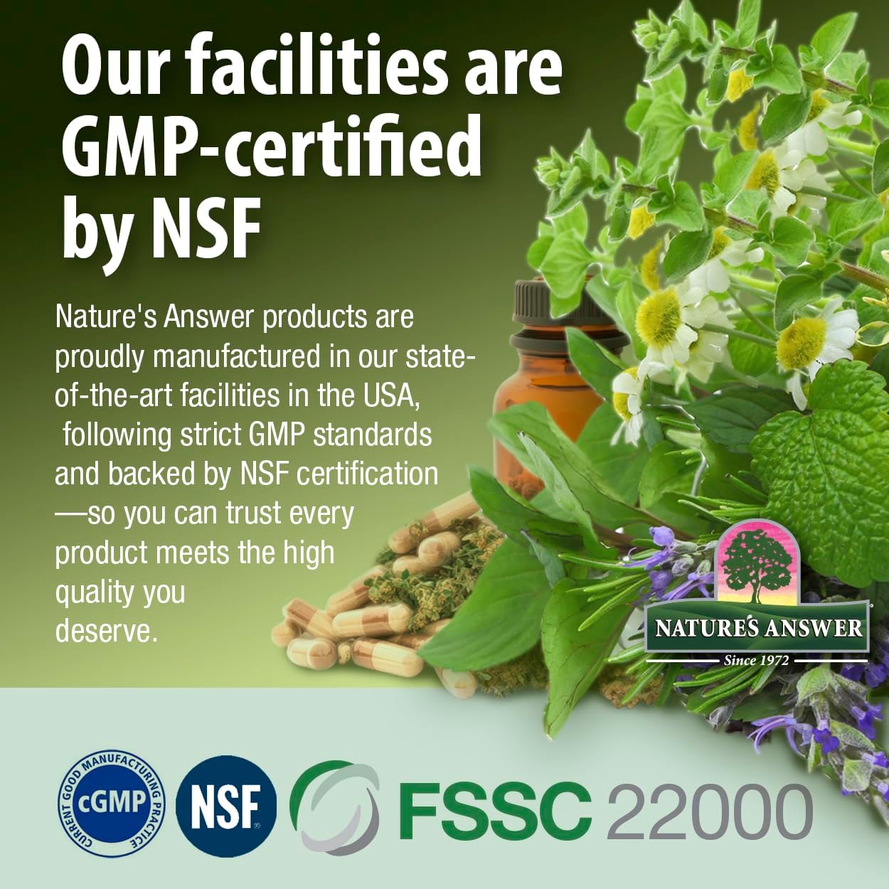 Plant Head Protein Naturally Flavored Best Tasting Strawberry Raw Vegan Vegetarian Protein Dietary Supplement Gluten Soy Dairy GMO Free – 30 Servings (1.8 Pounds)