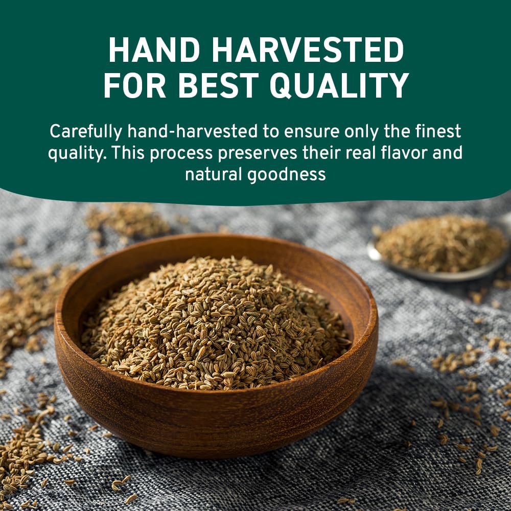 HANDPICK Ajwain Seeds (397g/14oz) Whole Carom Seeds | Vegan, Gluten free, Non GMO | Raw Carom Bishops, Indian Origin | Packed in Resealable Ziplock Pouch