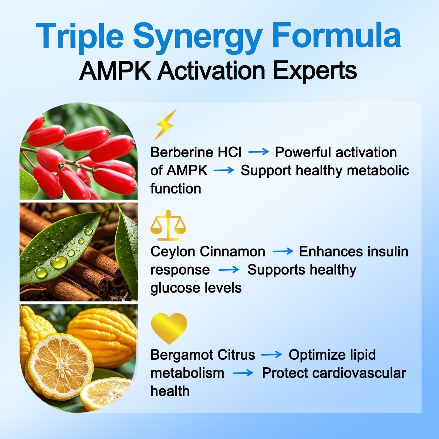 Premium Berberine Supplement Supports AMPK Metabolic, Liposomal Berberine with Ceylon Cinnamon - Classic 1500mg Formula for Healthy Metabolism & Weigh*t - 3X Absorption - Vegan, Non-GMO, 120 Count