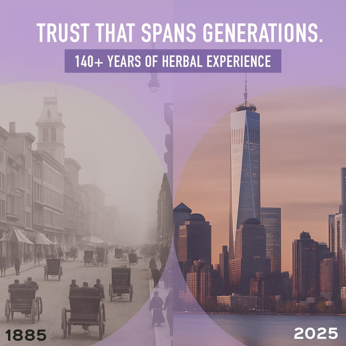 bixa BOTANICAL Lavender Powder for Drinks|Lavandula angustifolia|Lavender for Coffee, Baking, Lattes, Smoothies & Tea|Edible Culinary Powder|100% Pure,Non GMO, 140+ Years of Herbal Heritage, 200g/7oz