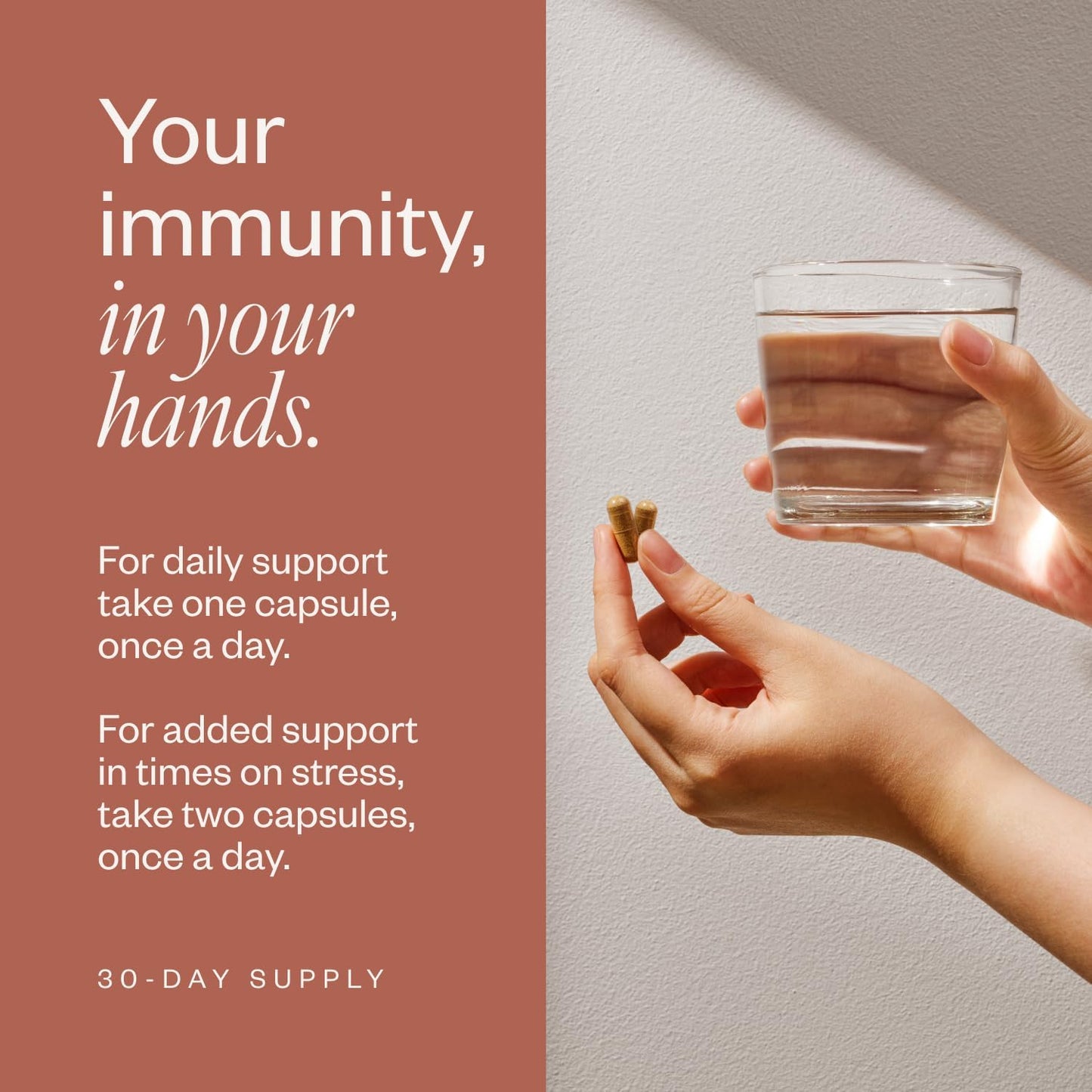 SHII AHCC Daily Immunity, 30-Days Supply – Vegan, Gluten Free Immune Support Supplement with AHCC, Immune System Support from Functional Shiitake Mushrooms, Promotes Immune Response & Cellular Health