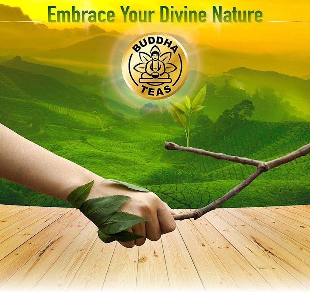 Buddha Teas Organic Blackberry Leaf Tea - OU Kosher, USDA Organic, CCOF Organic, 18 Bleach-Free Tea Bag