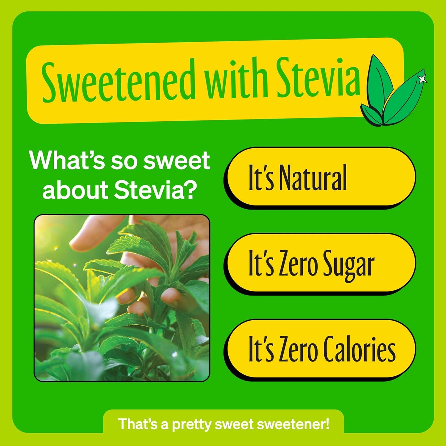 Zevia Zero Sugar Soda, Lemon Lime Twist, 12 oz Cans (24-Pack) – Naturally Sweetened, Non-GMO Project Verified, Gluten-Free, Vegan