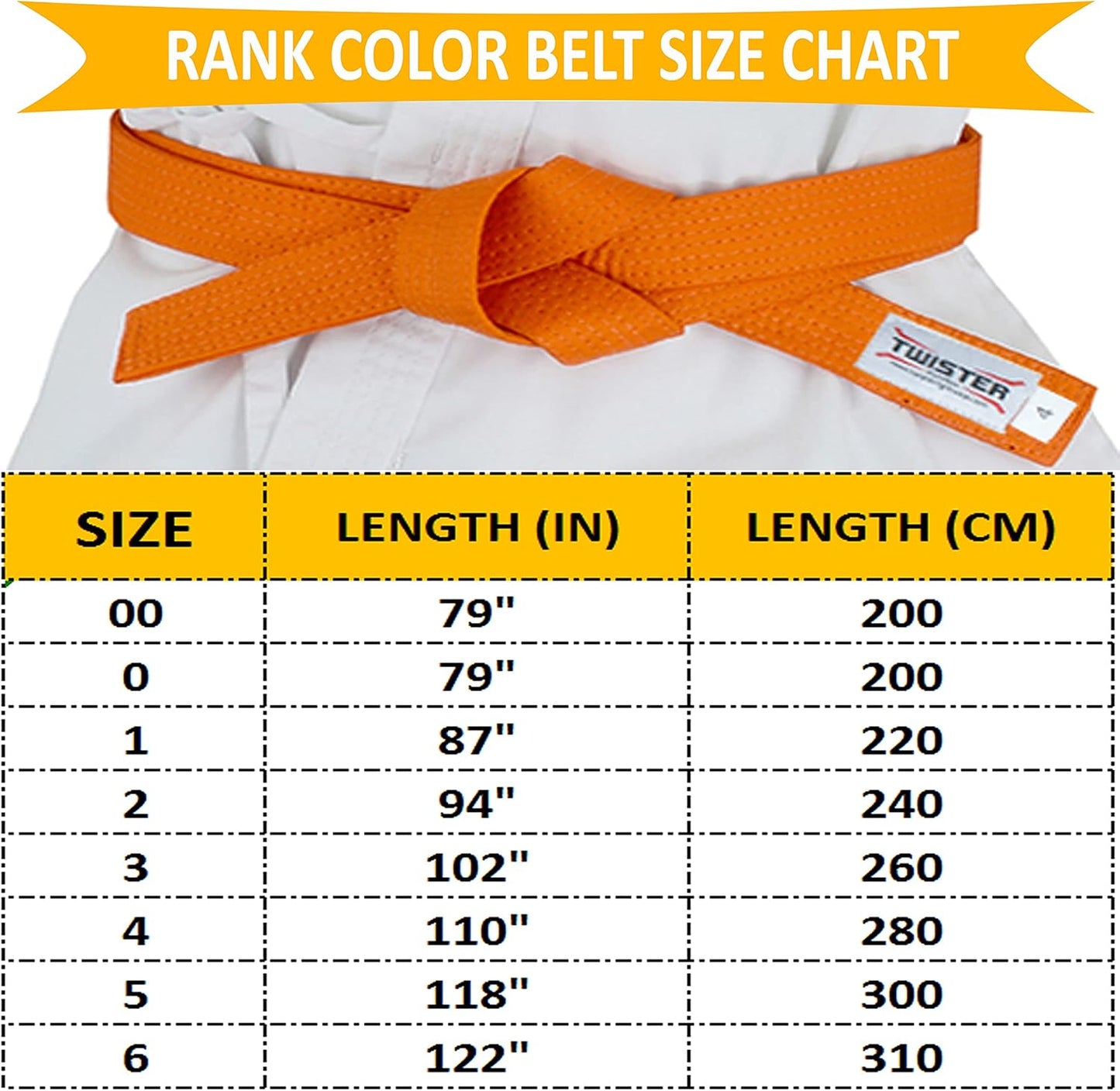 TWISTER Rank Belts for Martial Arts, Karate, Aikido, Taekwondo, Judo | Premium Cotton | Strong & Vibrant Colors