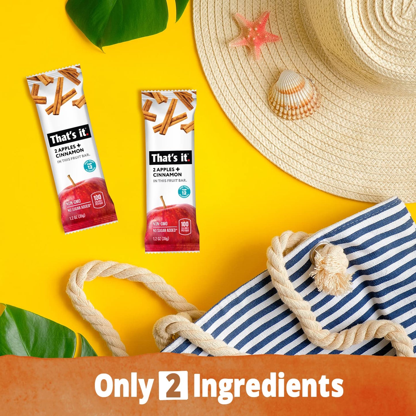 That's it. Apple + Cinnamon 100% Natural Real Fruit Bar, Best High Fiber Vegan, Gluten Free Healthy Snack, Paleo for Children & Adults, Non GMO No Added Sugar, No Preservatives Energy Food (12 Pack)