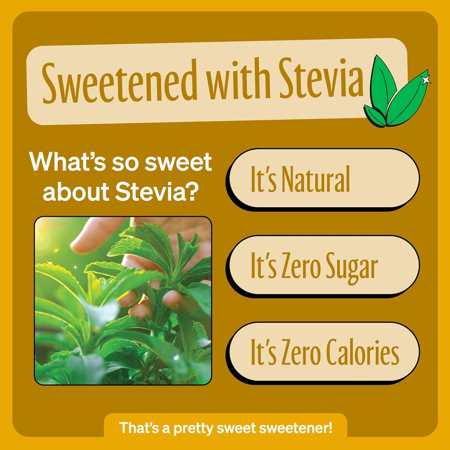 Zevia Zero Sugar Soda, Cream Soda, 12 oz Cans (24-Pack) – Naturally Sweetened, Non-GMO Project Verified, Gluten-Free, Vegan