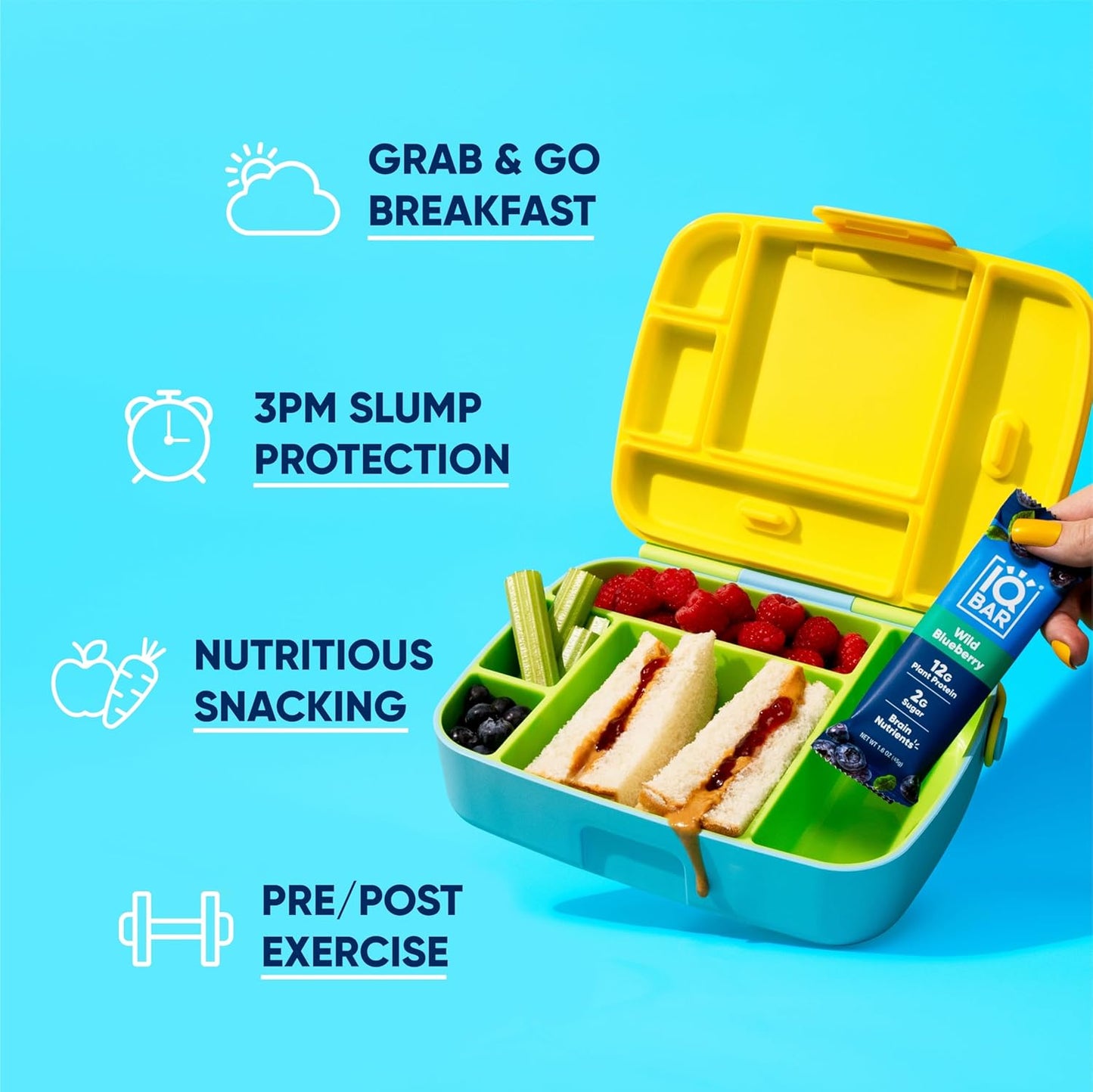 IQBAR Brain and Body Plant Protein Bars - Wild Blueberry - 36-Count Low Carb - Gluten Free, High Fiber, Vegan Snacks - Low Sugar Meal Replacement