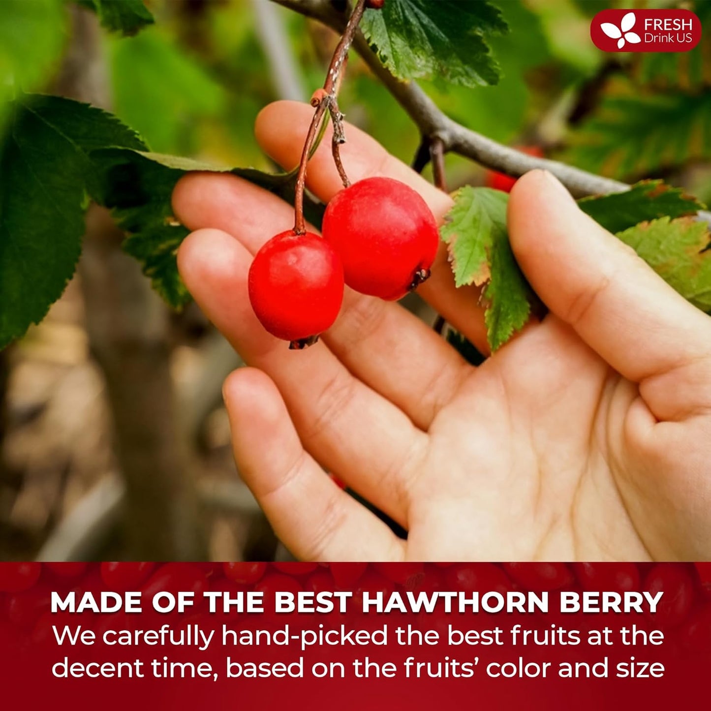 FreshDrinkUS, 16oz Premium Dried Hawthorn Berries β All-Natural, Non-GMO, Perfect for Tea, Smoothies, Baking & Snacking β Healthy, Versatile Superfood