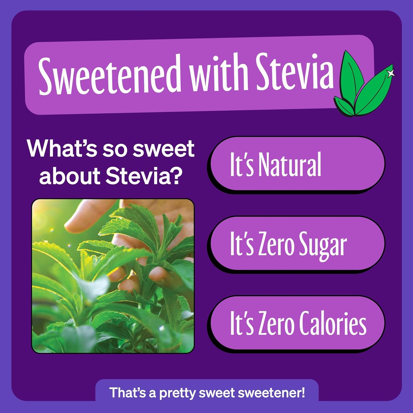 Zevia Zero Sugar Soda, Grape, 12 oz Cans (24-Pack) – Naturally Sweetened, Zero Calorie Sugar Free Soda - Non-GMO Project Verified, Gluten-Free, Vegan