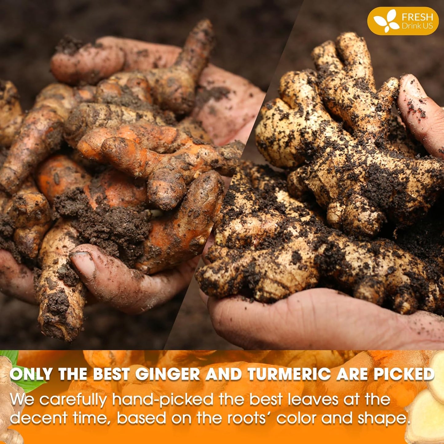 FreshDrinkUS, Premium 45 Ginger Turmeric Tea Bags, 100% Natural Ingredients, Hand-made Blend of Ginger and Turmeric Herbal Tea, Eco-conscious Tea Bags. No Sugar, No Caffeine, No Gluten, Vegan.