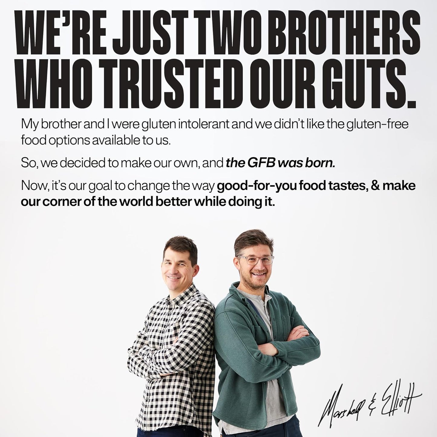 The Gluten Free Brothers Chocolate Chip Cookie Dough Nut Free Bites - Allergen Friendly, Gluten Free, Soy Free Protein Balls – Plant Based Vegan Non-GMO Snack Size Protein Energy Balls, 4 oz (6 Count)