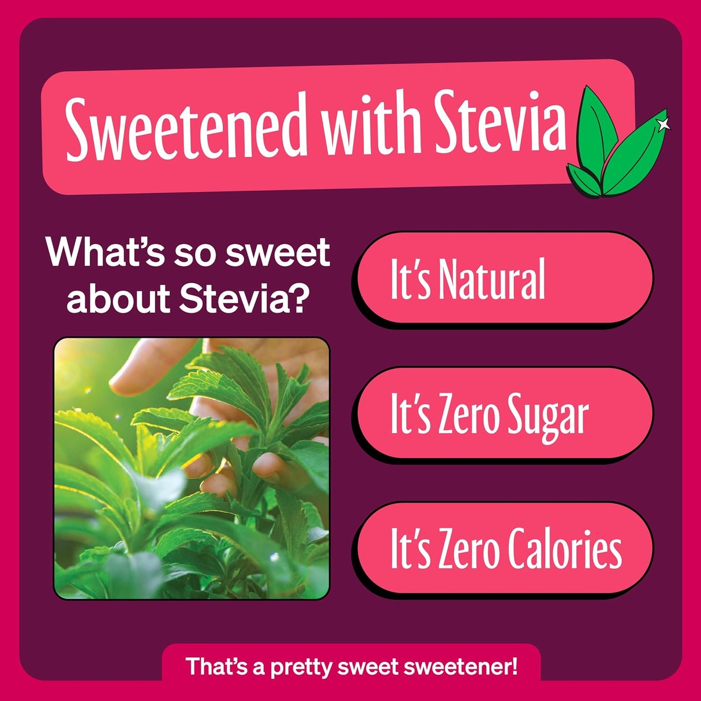 Zevia Zero Sugar Soda, Black Cherry, 12 oz Cans (24-Pack) – Naturally Sweetened, Non-GMO Project Verified, Gluten-Free, Vegan