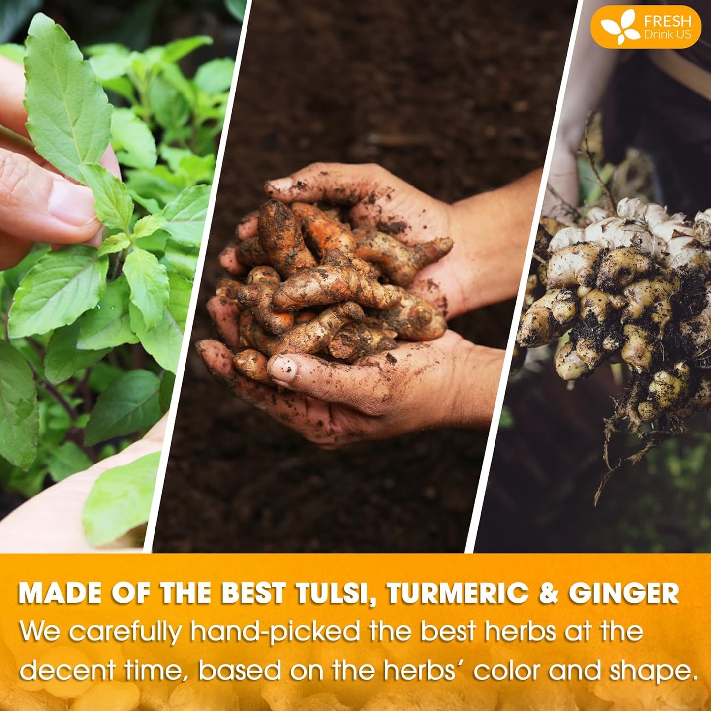 FreshDrinkUS, Premium 135 Tulsi Turmeric Ginger Tea Bags, 100% Natural & Pure from Tulsi Holy Basil Leaves, Turmeric and Ginger. Made with Natural Material Tea Bags. No Sugar, No Caffeine, Vegan.