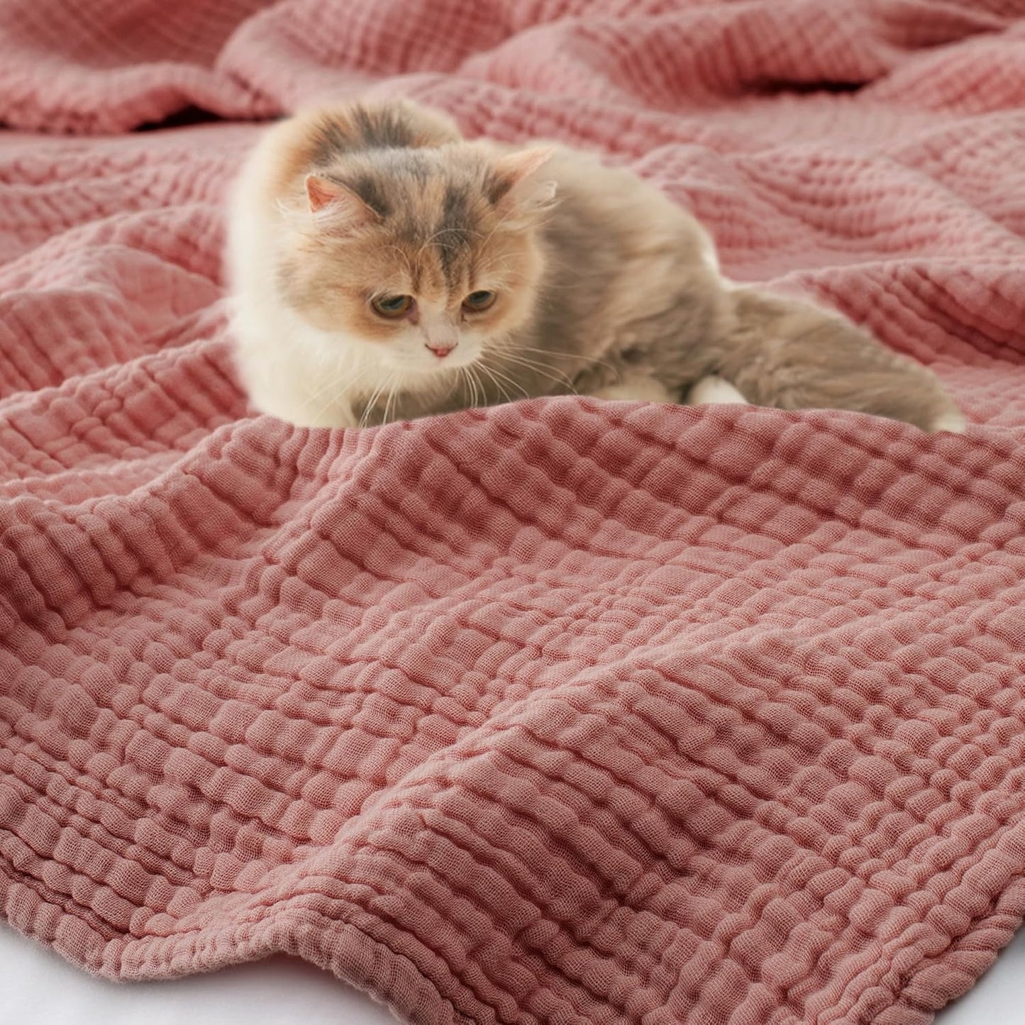 Carriediosa 100% Cotton Muslin Throw Blanket 70" X 80" Twin Size,4-Layers Summer Gauze Throws for Bed Couch,Soft Lightweight Breathable Linen Blankets Bedspread for Adults All Season,Mauve