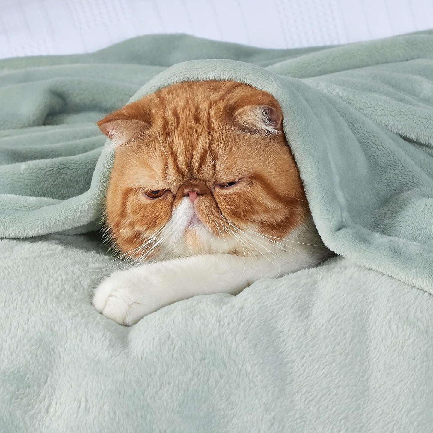 Bedsure Bedding Fleece Blanket for Girls and Boys - Soft Cozy Cute Small Throw Blankets for Travel, 43x55 Inches, Sage Green