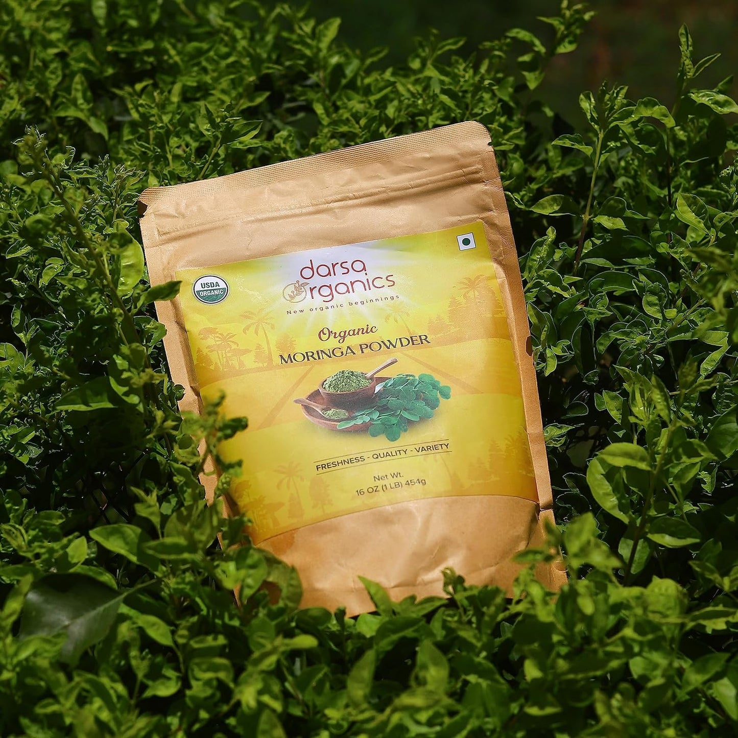 USDA Organic Moringa Powder 1 lb – Premium Moringa Oleifera Leaf Powder | Non-GMO, Gluten-Free, Vegan Superfood – Raw, Pure, Nutrient-Rich Moringa for Smoothies, Cooking & Baking