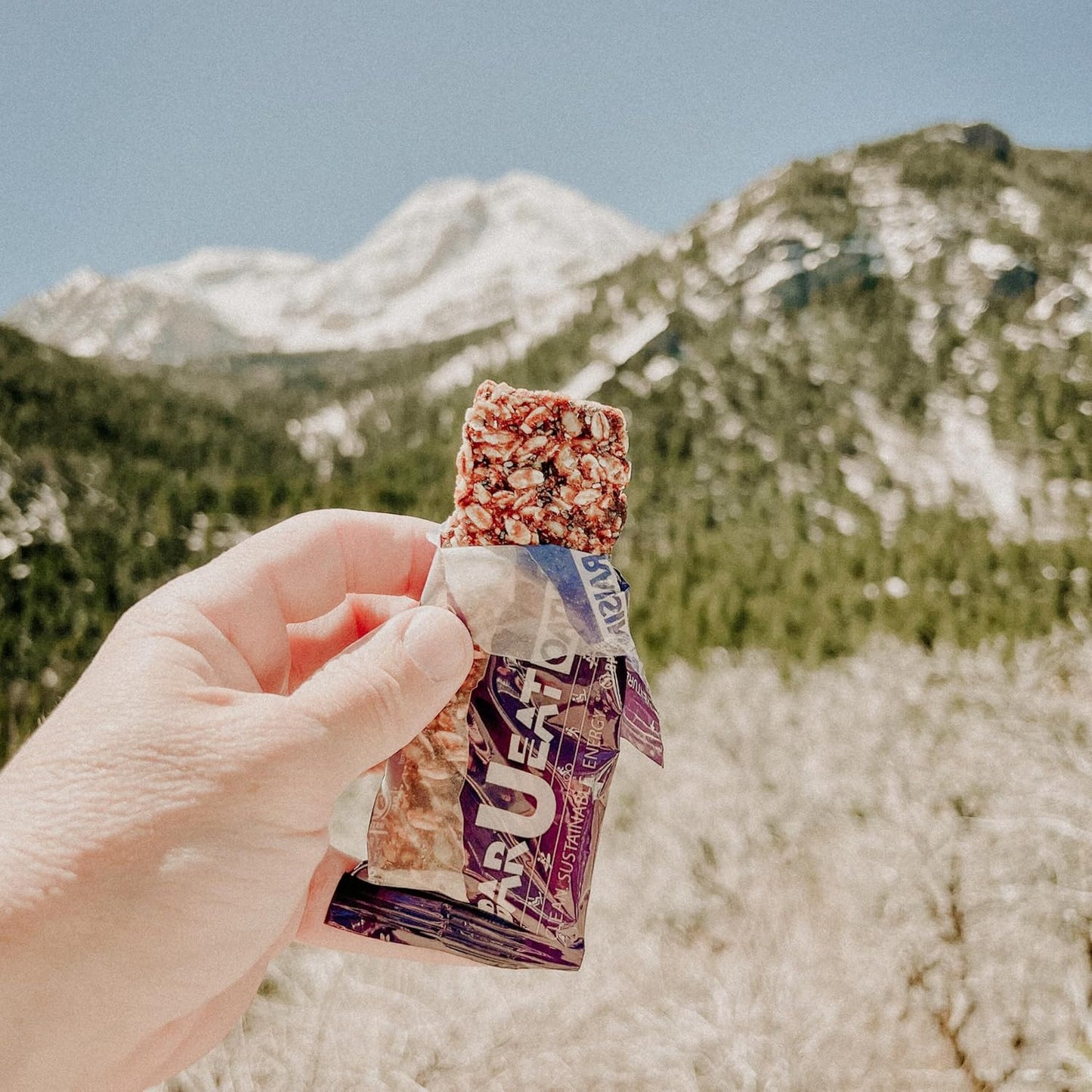 BAR-U-EAT Gluten-Free, Organic, Soft & Chewy Energy Bar. Whole Food Ingredients | Compostable Packaging | No Artificial Sugar | Healthy Snacks (Oatmeal Raisin 12 Pack)