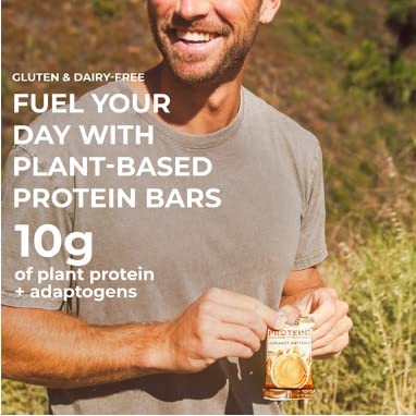 Laird Superfood Functional Protein Bars – Protein Bar but Better with Real Ingredients, Functional Mushrooms 10g Plant-Based Protein, 6g Fiber - Non-GMO - Peanut Butter, 10 Count (Pack of 1)