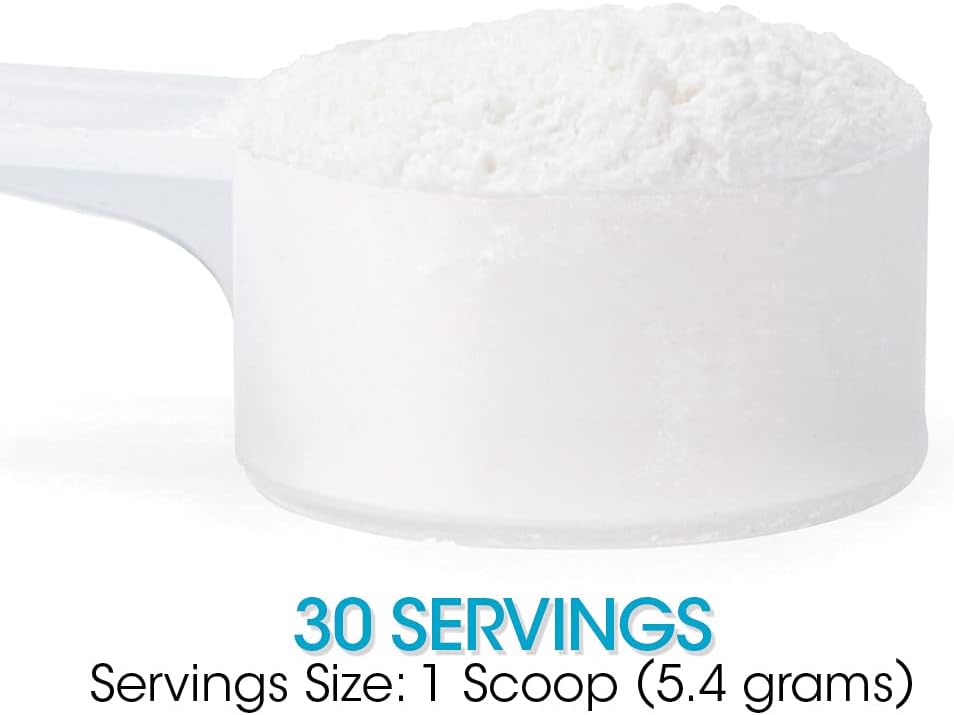 Silver Fern Gut Repair - Digestive Health Supplement Powder - L-Glutamine, Curcumin, Zinc & Ascorbic Acid (1 Tub - 30 Servings)