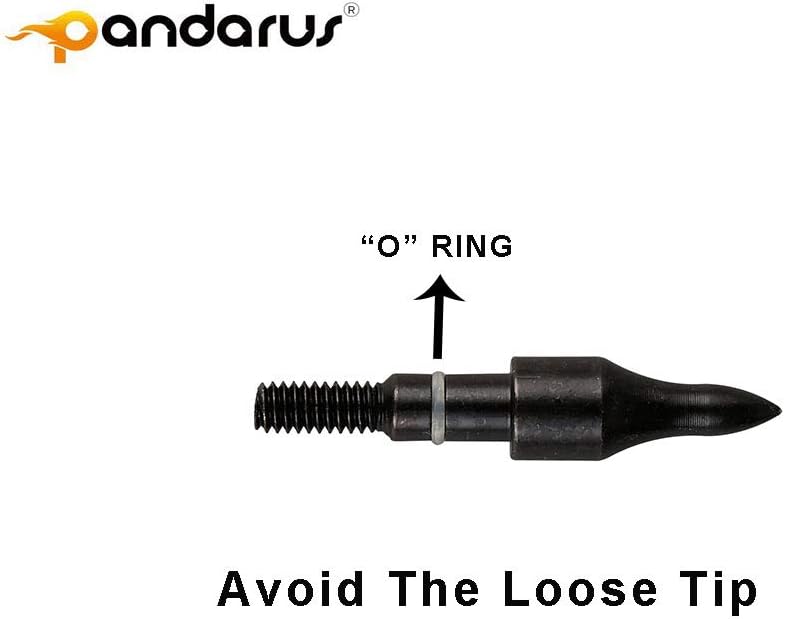 30/32" Inch ST0.006 Hunting Arrows for Compound & Recurve Bow,100% Carbon Archery Target Arrows with Removable Tips for Accurate Hunters & Bowhunters (Pack of 12)