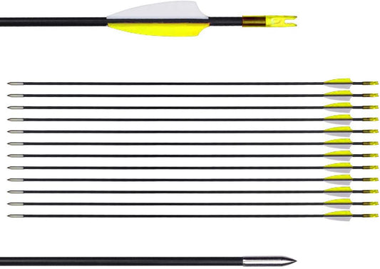 LWANO 31" Training Arrows-Archery Practice Target Arrows for Kids Youth or Beginners with Durable Shaft on Recurve Bow Compound Bow and Longbow
