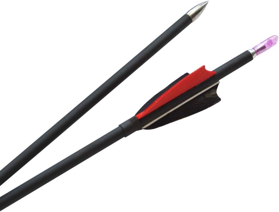 ZSHJGJR 31Inch Archery Carbon Arrows Hunting Arrows Spine 1000 with 2" Turkey Feathers Shooting Tips for Compound Recurve Bow 12 Pieces (Black) (12 x Red Arrows)