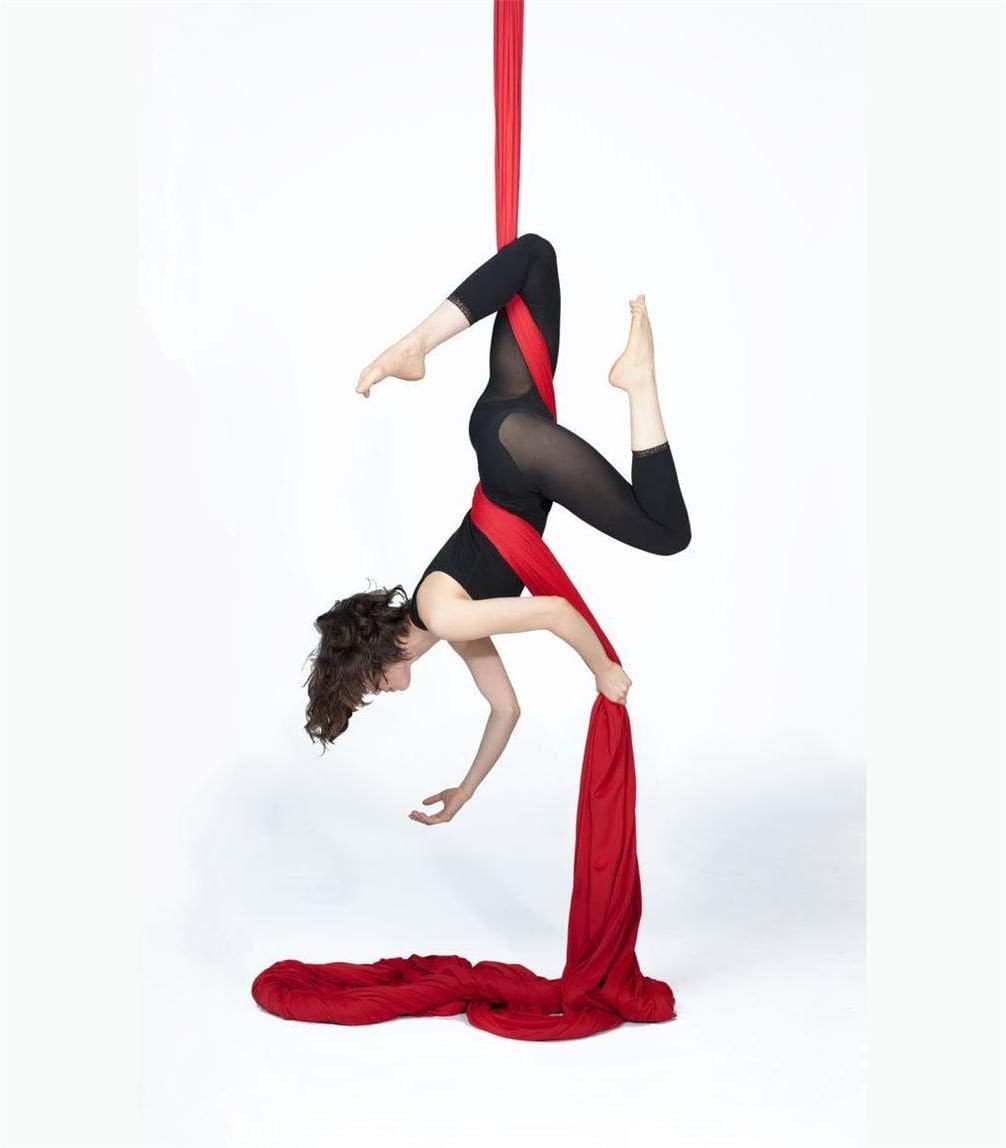 DASKING Aerial Silks Starter Kit - Durable 11Yards of Aerial Yoga Hammock with Hardware, Aerial Swing for Acrobatic Flying Yoga & All Levels (Aerial Rigging Point Up to 14ft)