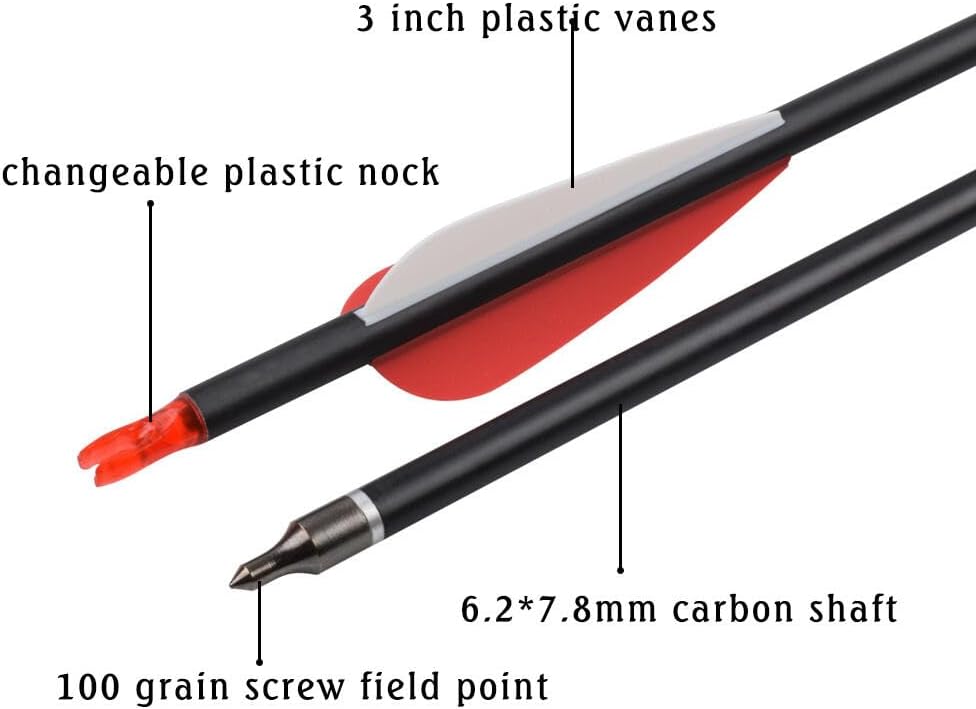 Carbon Arrow Hunting Arrows with 100 Grain Removable Tips for Archery Compound & Recurve & Traditional Bow Practice Shooting (Pack of 12)