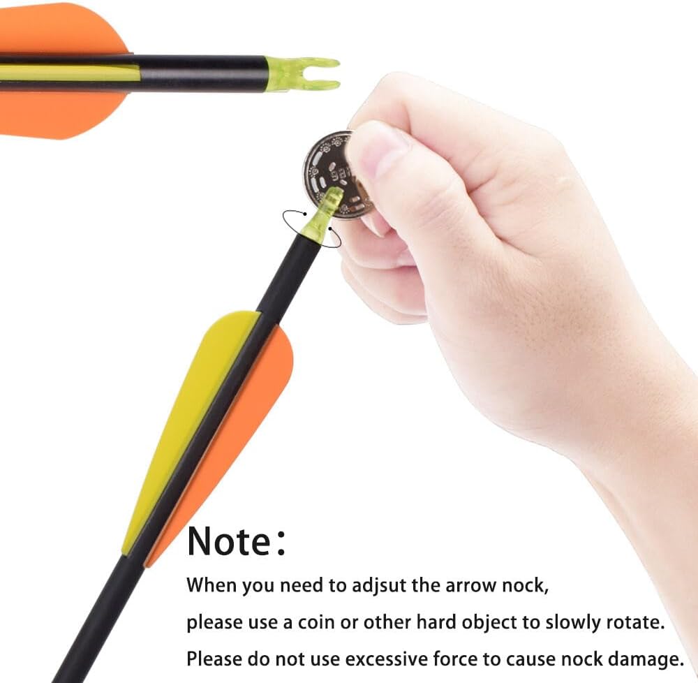 Carbon Arrow Hunting Arrows with 100 Grain Removable Tips for Archery Compound & Recurve & Traditional Bow Practice Shooting (Pack of 12)