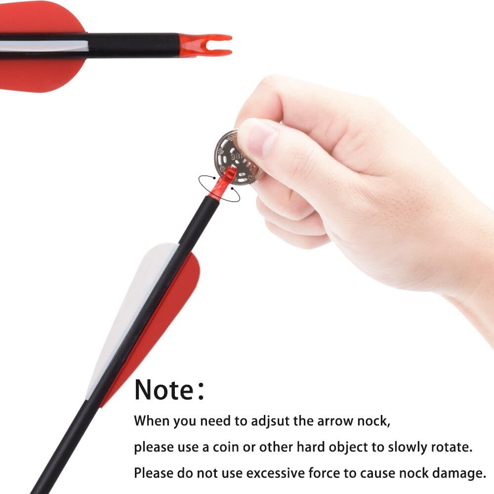 Carbon Arrow Hunting Arrows with 100 Grain Removable Tips for Archery Compound & Recurve & Traditional Bow Practice Shooting (Pack of 12)