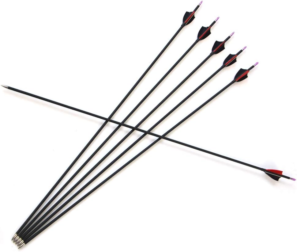 ZSHJGJR 31Inch Archery Carbon Arrows Hunting Arrows Spine 1000 with 2" Turkey Feathers Shooting Tips for Compound Recurve Bow 12 Pieces (Black) (12 x Red Arrows)