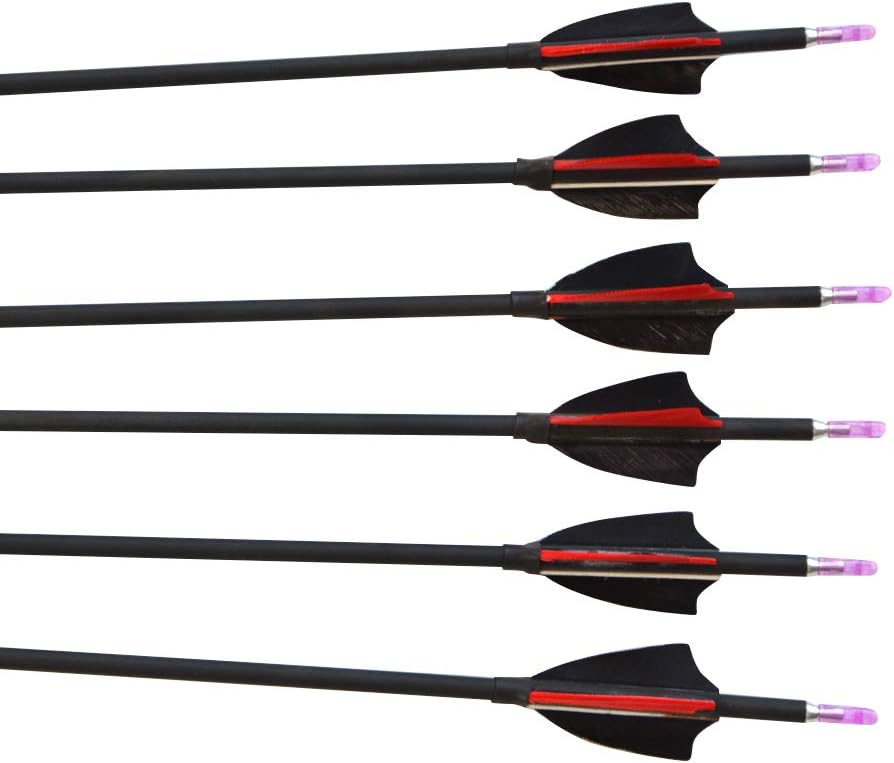 ZSHJGJR 31Inch Archery Carbon Arrows Hunting Arrows Spine 1000 with 2" Turkey Feathers Shooting Tips for Compound Recurve Bow 12 Pieces (Black) (12 x Red Arrows)