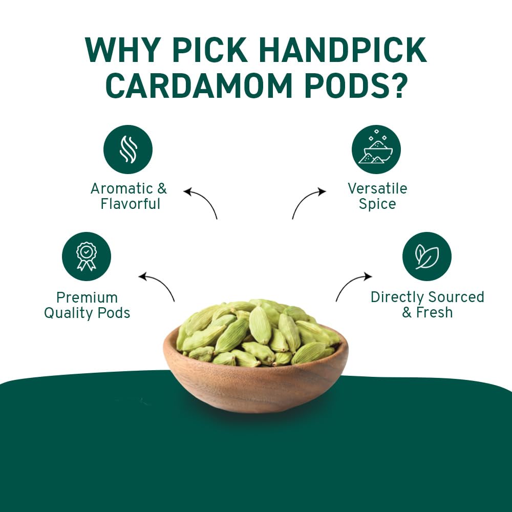 HANDPICK Green Cardamom Pods (57g / 2oz) Large size Green Elaichi | Pure, Non-GMO, Gluten Free | 100% Raw from India | Resealable Zip Lock Pouch