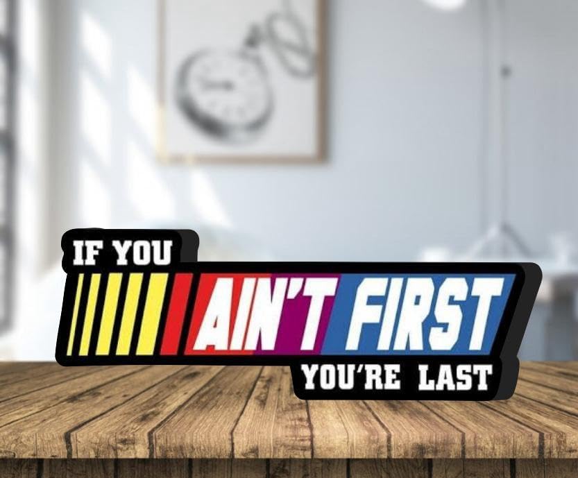 NEONSIGN If You Ain't First You Are Last LED Neon Sign Gym Motivation Lightbox Fitness Wall Decor with USB Powered Dimmable for Gym Home Fitness Decoration (12x4.5 inches)