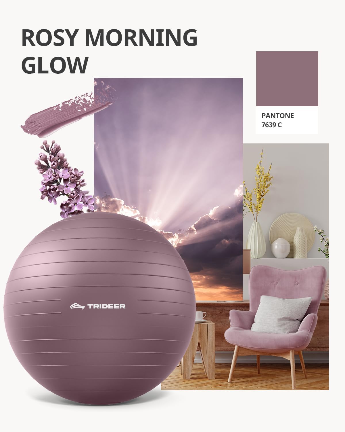 Trideer Yoga Ball – Anti-Burst Exercise Ball for Pregnancy, Office, Birthing, Stretching & Core Workout – Home Gym & Therapy