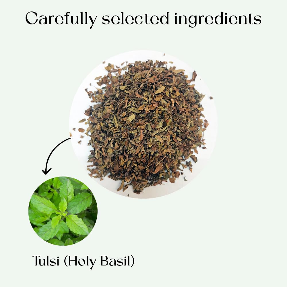 Tulsi Holy Basil Tea Bags 50 Count For Cognitive Balance & Overall Health Ayurvedic Tulsi With Antioxidants Caffeine Free Holy Basil Leaves Pyramid Herbal Tea Bags Support Digestion & Boost Immunity